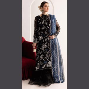 nureh chiffon organza & silk embroidered suit in black